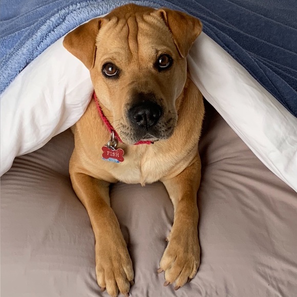 LIVE POP UP SHOWS! 🫶🏻🫶🏻 - Picture 6 of 8